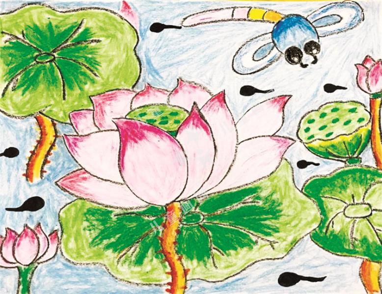 夏天的池塘
